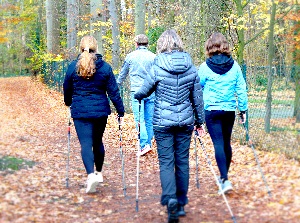 Patientengruppe der Schmerztherapie bei einer Therapieeinheit Nordic Walking